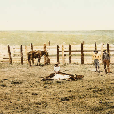Colorado. The Round Up, Roping a Steer