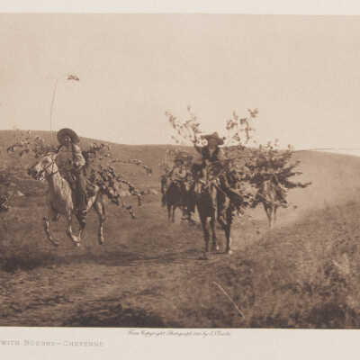 Return with Boughs - Cheyenne