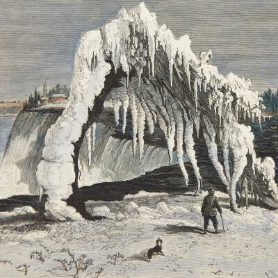 Tree Crushed by Frozen Spray