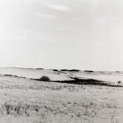 South of Arnegard