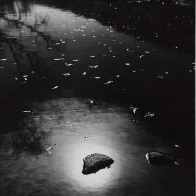 Rock In Light