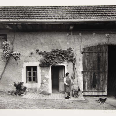Madam Gabon/Farm/Neufchatel, France