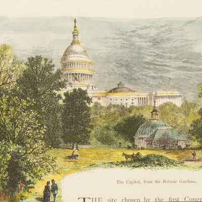 The Capital, from the Botanic Gardens