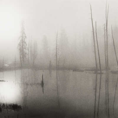 Yellowstone Thermal Swamp #2