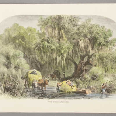 The Moss Gatherers