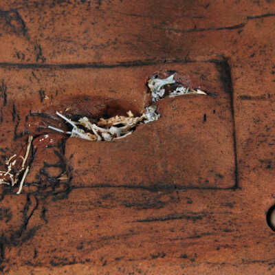 Ceramic #19