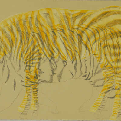 Crossover of the Pattern