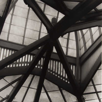 Arboretum Ceiling, San Fransisco