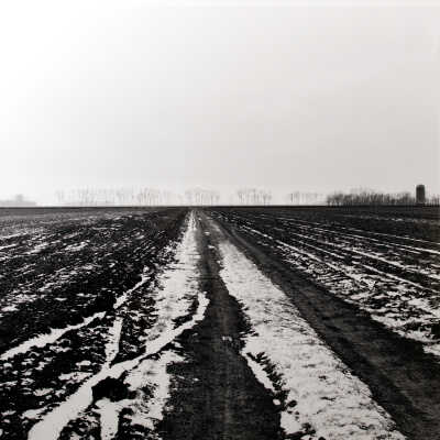 Near Sabin