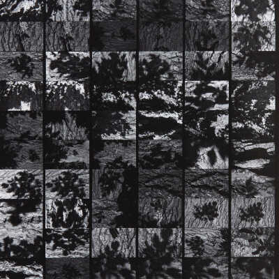 Misconception, Whole Roll Series