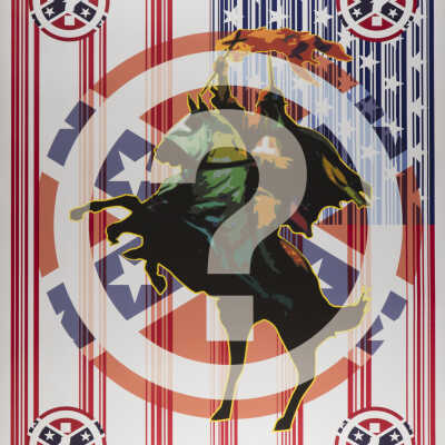 Rebirth of a Nation series