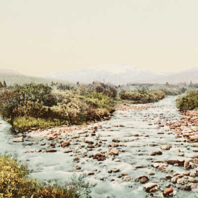 Fishing on William's Fork, Middle Fork, CO