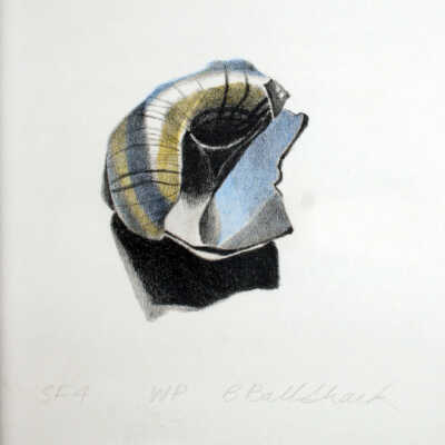 Shell Fragments #4