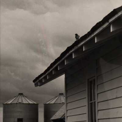 Moorhead Series (#7 bin)