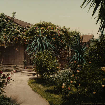 Pasadena, Rose Covered Cottage