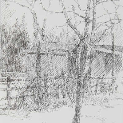 Back Yard at 1212 South Twelth Street, Moorhead
