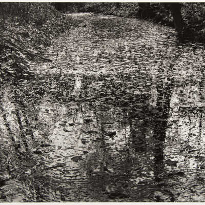 Kentucky Creek Bed