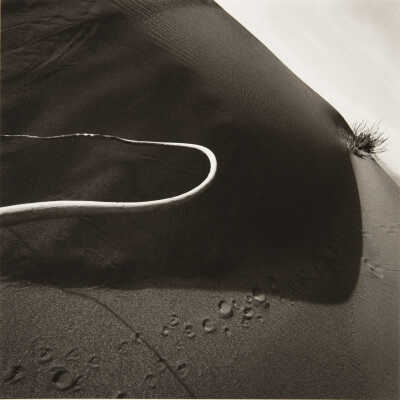 Kelp and Dunes, Ft. Bragg, CA