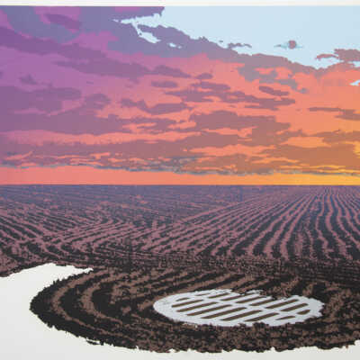 Drain Field