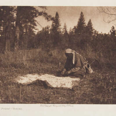 Drying Piahe - Yakima