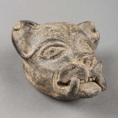 Dog Head