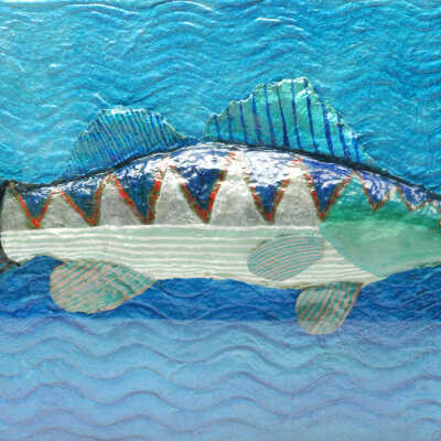 Argyle Trout