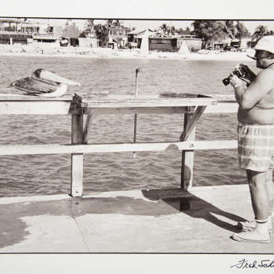 About to Photograph a Pelican, Ft. Myers Beach, Florida