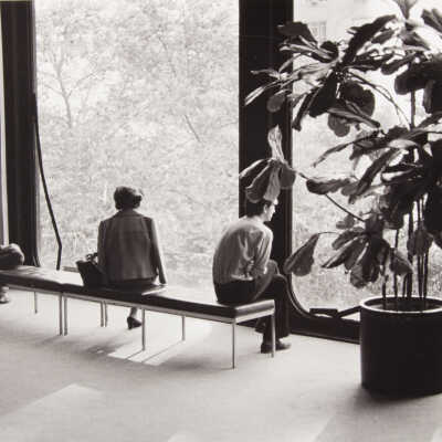 Window, Museum of Modern Art, NYC
