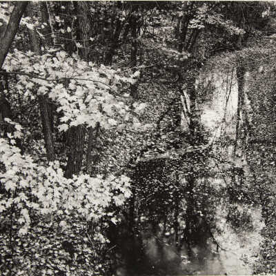 Kentucky Creek