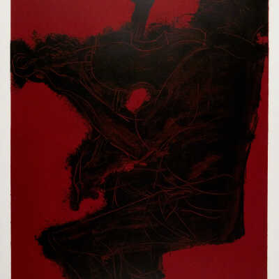 Black & Red Violinist