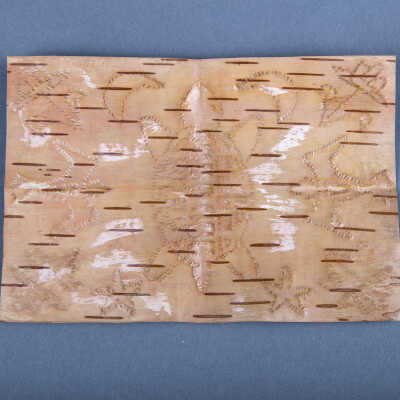 Bitten Birchbark