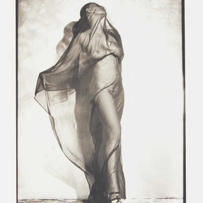 Nude with Sheet/Veil
