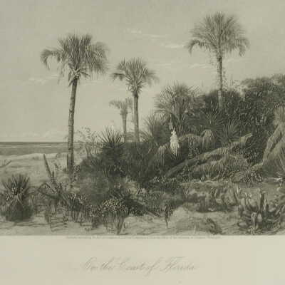 On the Coast of Florida