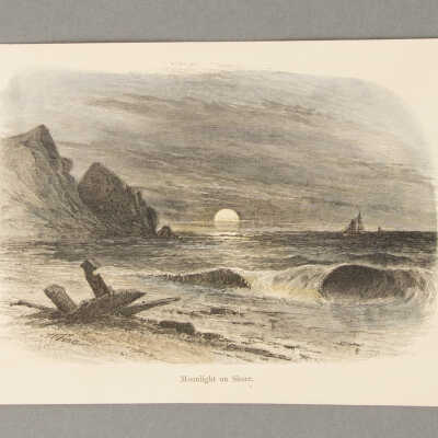 Moonlight on Shore