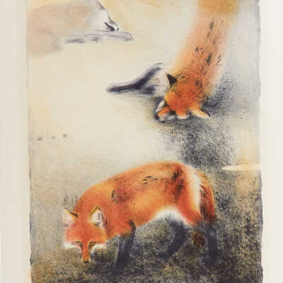 Lakeside-Clever Hunter, Two Foxes