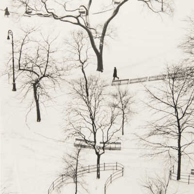 Washington Square, January 9, 1954