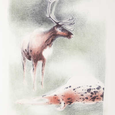 Lakeside-Clever Hunter, One Caribou