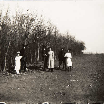 Metelmann Girls and Horses