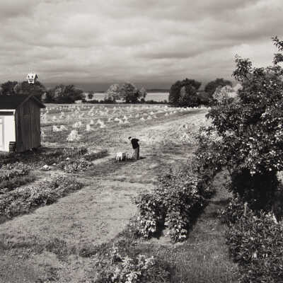 Joseph Adelard, St. Pierre, L'lslet Sur Mer, Gaspe