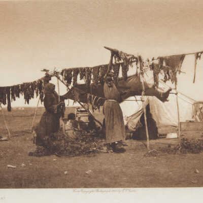 Drying Meat