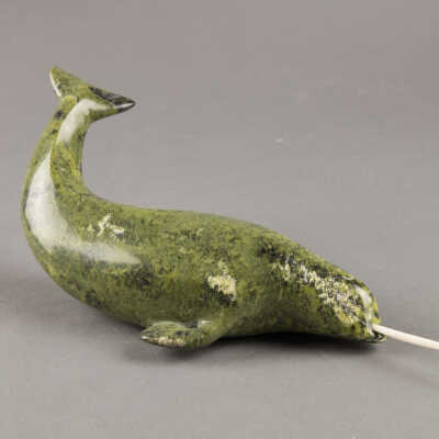 Narwhal