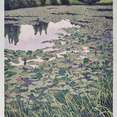 Lily Pond