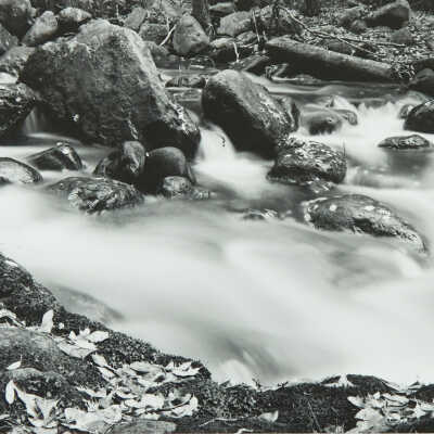 Autumn Leaves, Crestone Creek, Panoramic