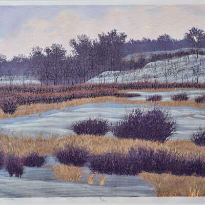 Mid-Western Winter