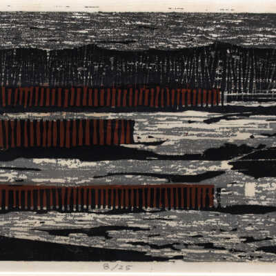 Snow Fences