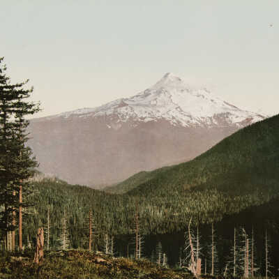 Mount Hood