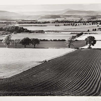 Fields Near New Tyle Tayside, Scotland