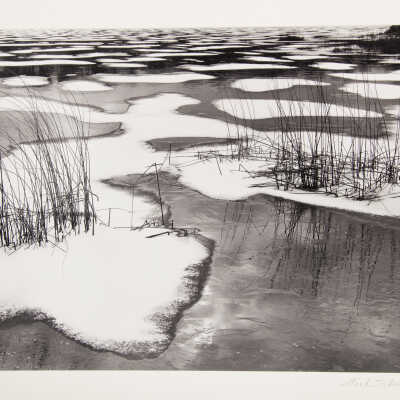 Reeds and Snow, Scaup Lake, Minnesota