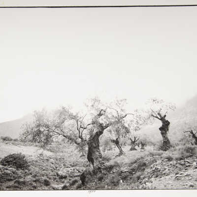 Near Leonidion, Greece