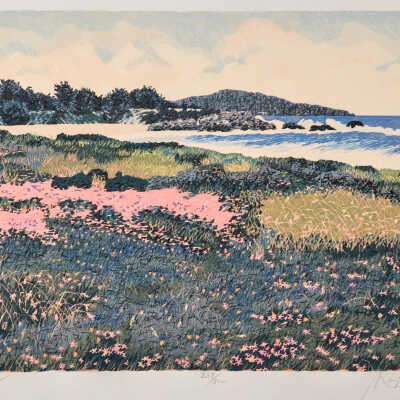 Wildflowers